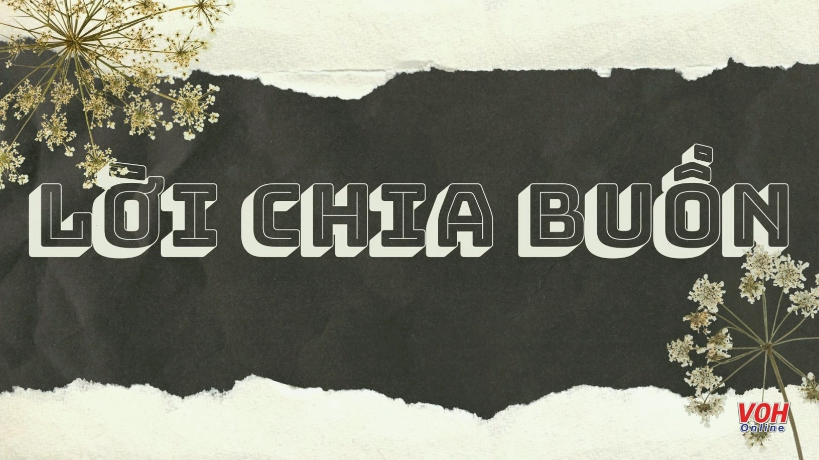 Hình ảnh minh họa sự sẻ chia và đồng cảm