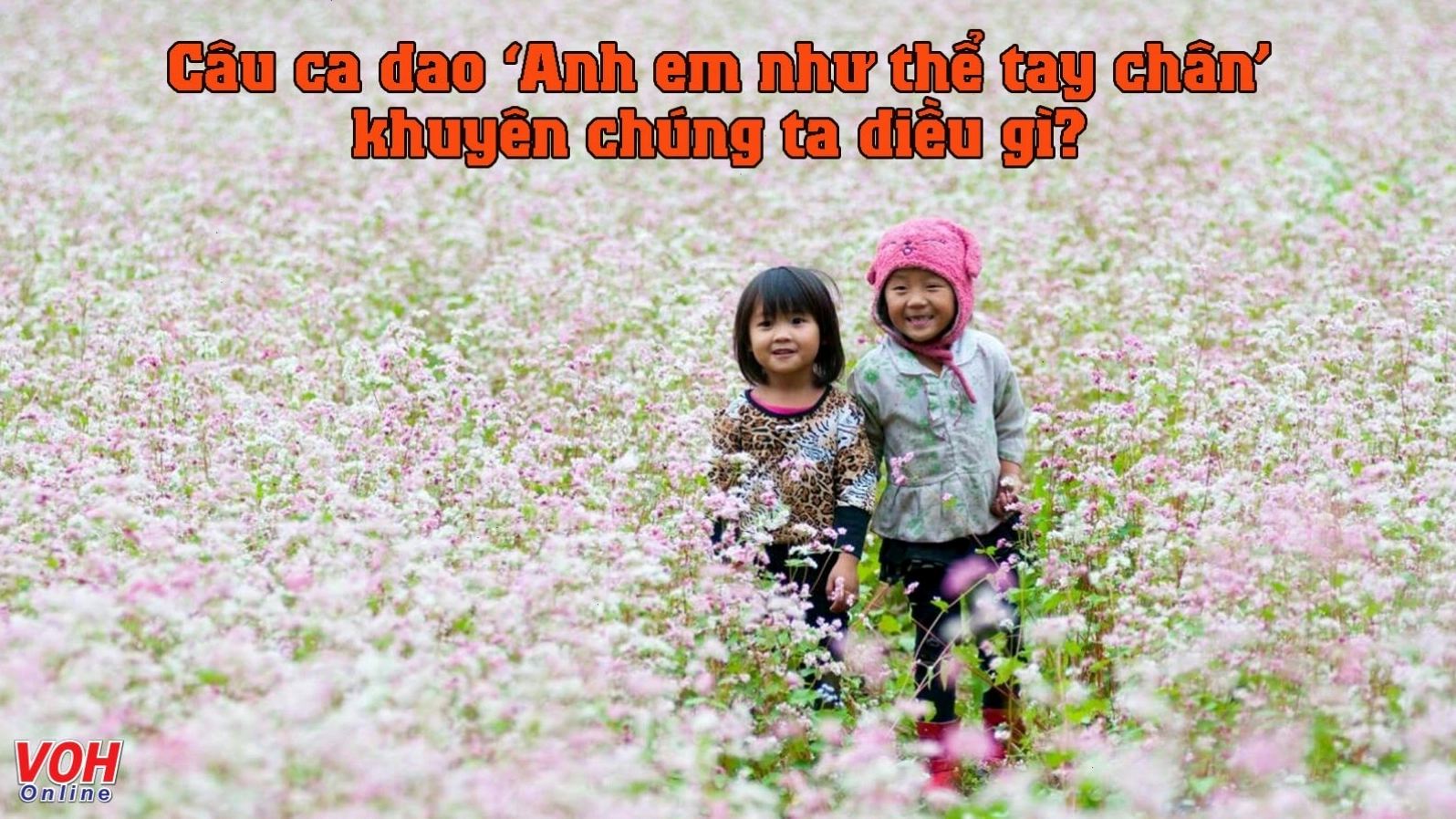 Hình ảnh minh họa tình anh em gắn bó