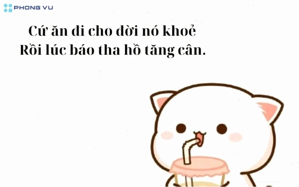 Hình ảnh một chú mèo với biểu cảm ngạc nhiên, đi kèm câu nói meme hài hước