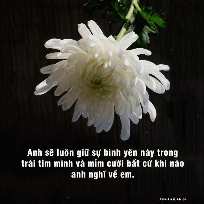 Hình ảnh người cao tuổi với ánh mắt hiền từ, tràn đầy kinh nghiệm sống