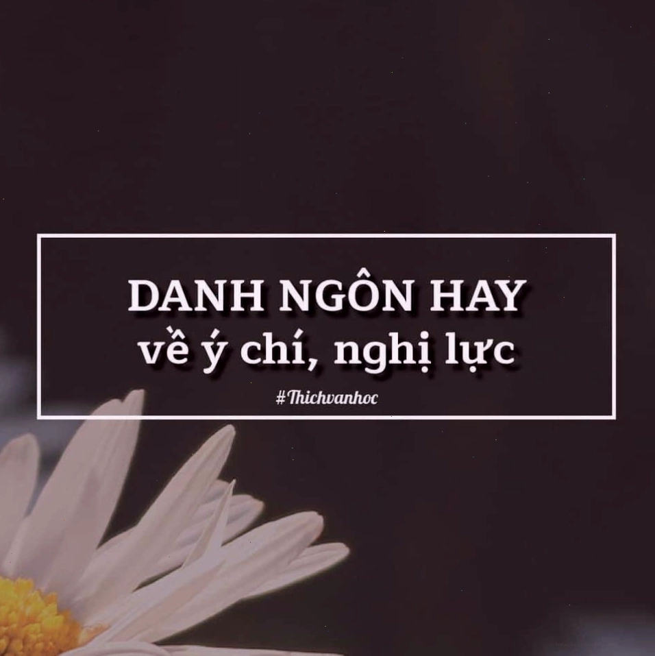 Hình ảnh về ý chí và nghị lực