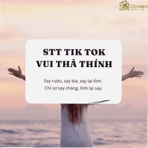 Hình ảnh vui nhộn, bắt mắt trên TikTok