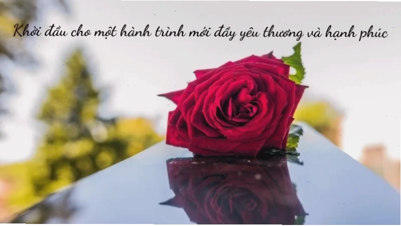 Hoa tươi trong lễ dạm ngõ