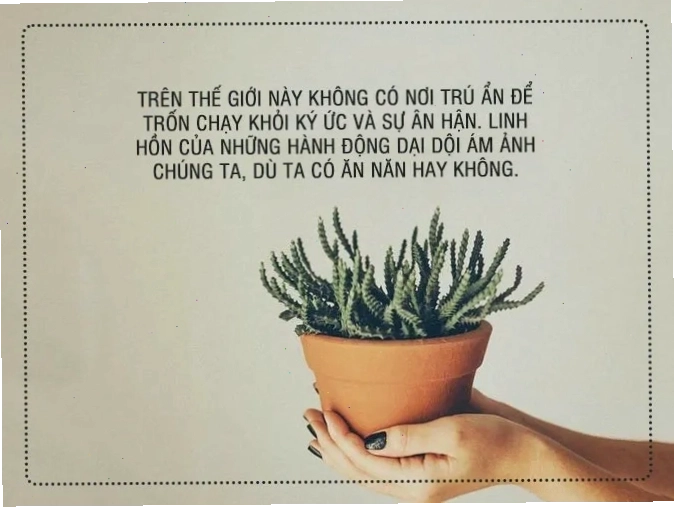 Lời hối hận về những gì đã bỏ lỡ trong tình yêu.