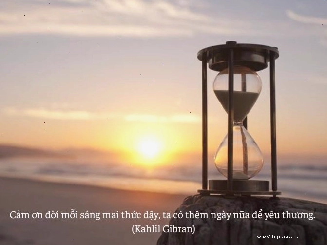 Minh họa lòng biết ơn qua hình ảnh bàn tay nâng niu đóa hoa