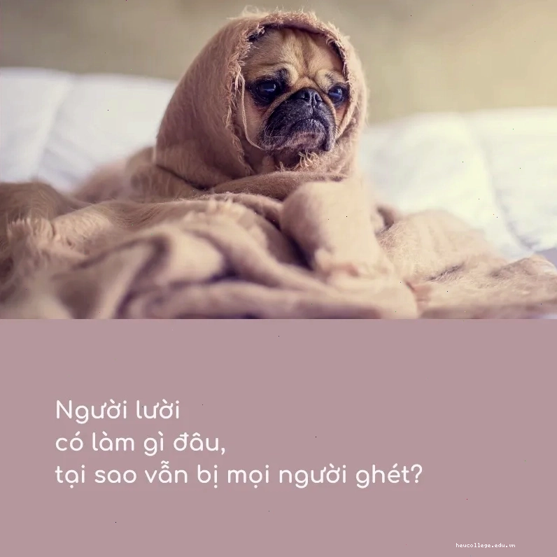 Minh họa những câu nói vô tri hài hước, độc đáo