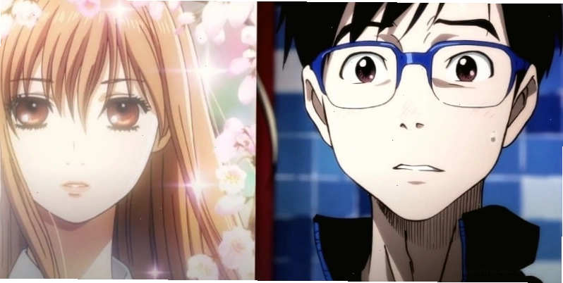 Minh họa phong cách Josei khai thác chiều sâu tâm lý nhân vật trong Chihayafuru và Yuri On Ice