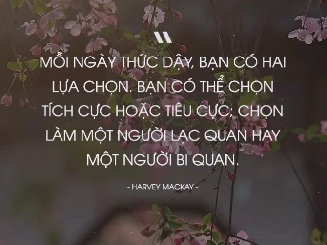 Minh họa sự lựa chọn đúng đắn dẫn đến thành công