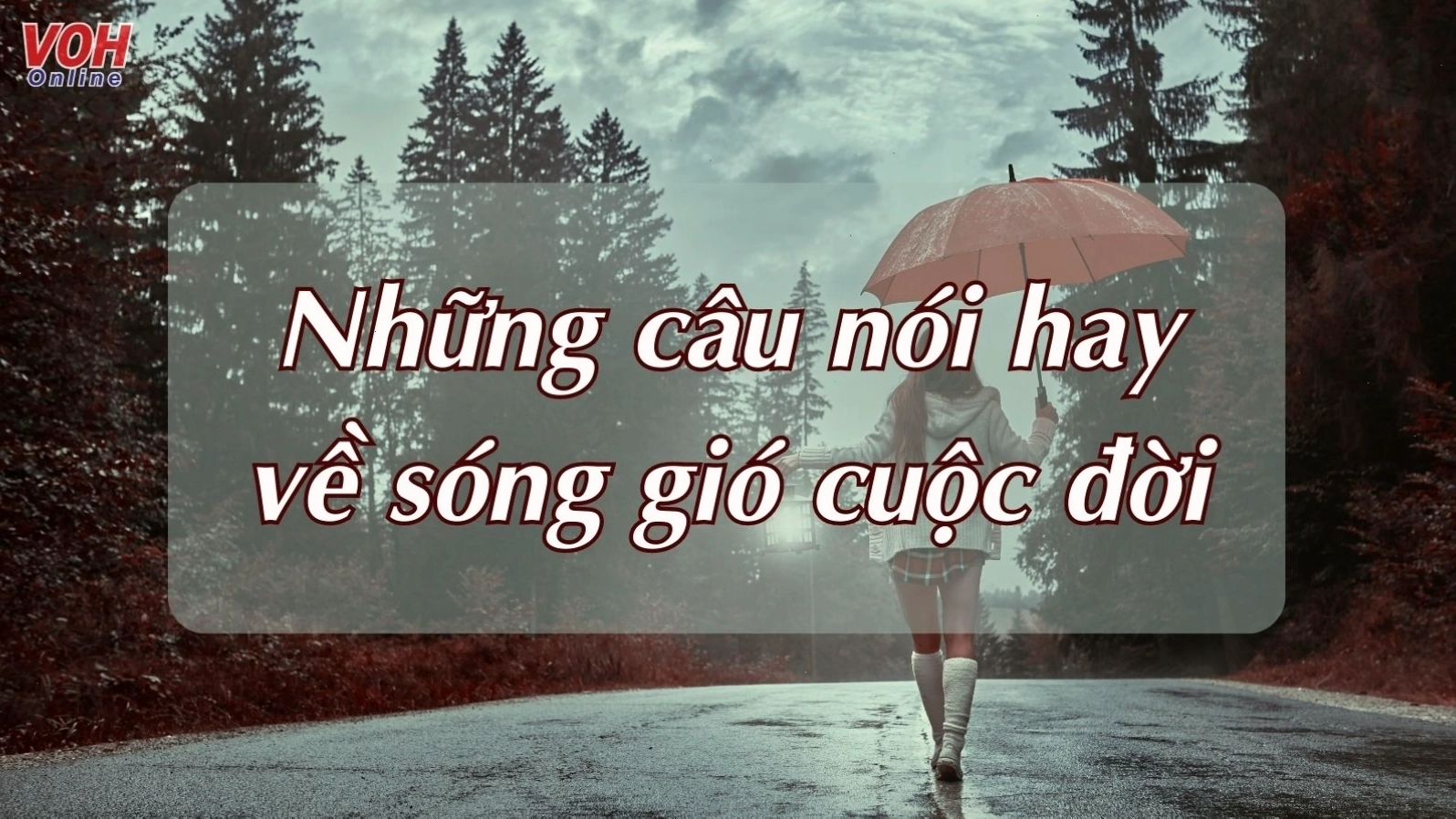 Một người phụ nữ đang tưới cây trong khu vườn nhỏ