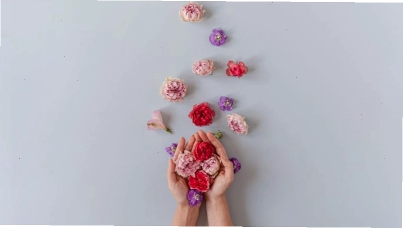 Người phụ nữ đang ngắm nhìn phong cảnh thiên nhiên tươi đẹp