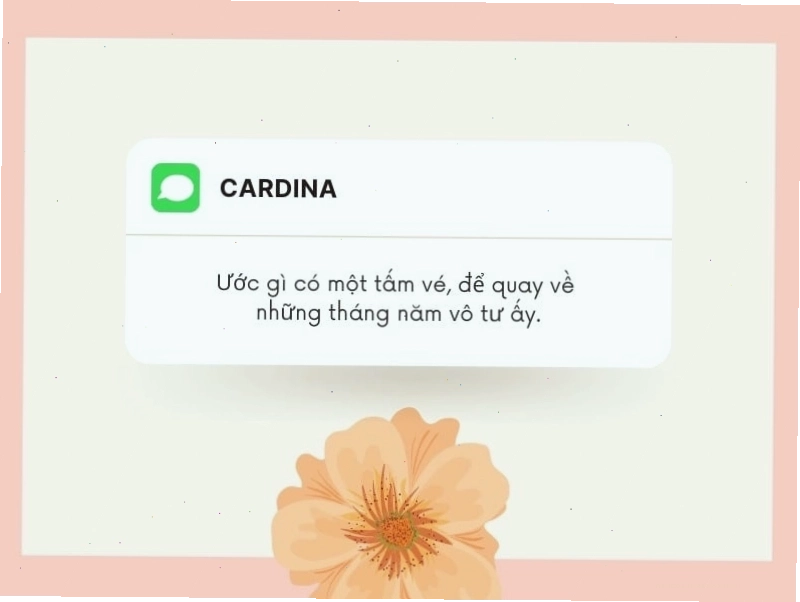 Nhóm bạn trẻ cùng nhau ôn lại kỷ niệm thanh xuân