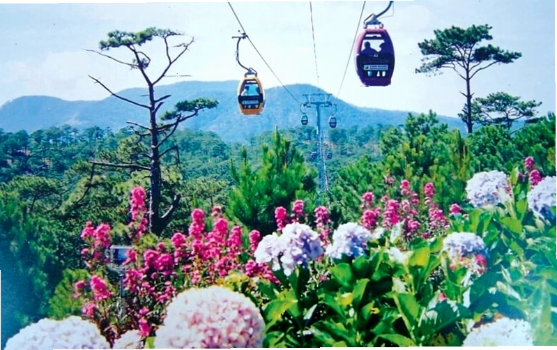 Những caption hay về Đà Lạt được dùng nhiều nhất