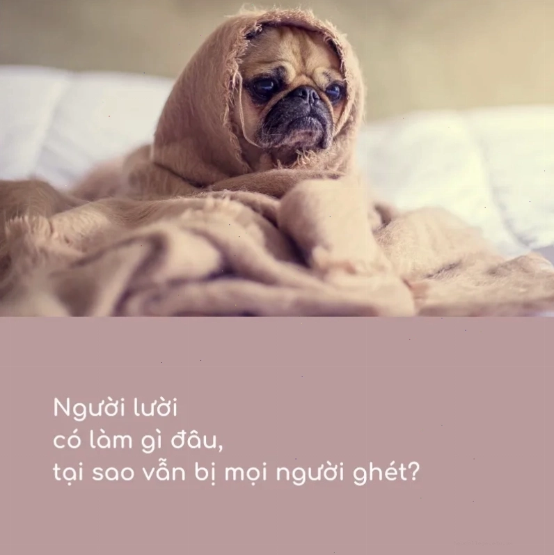 Những câu hỏi vô tri "hack não" người nghe