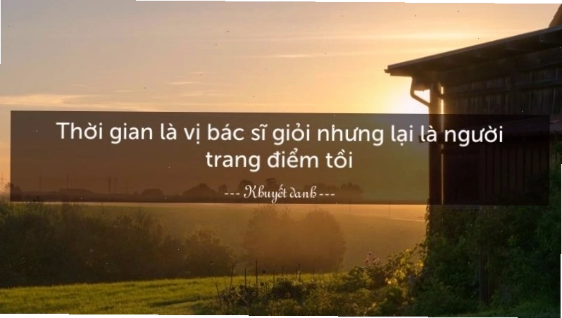 Những câu nói hài hước về cuộc sống tạo không khí vui vẻ