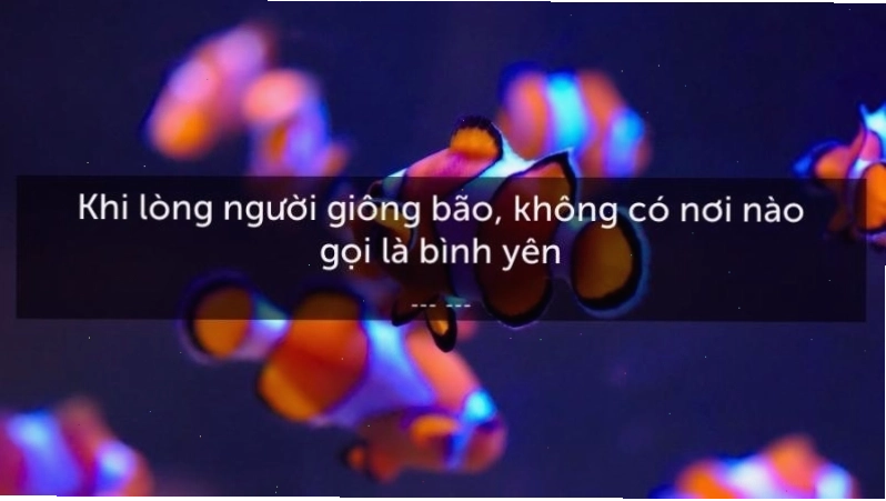 Những câu nói hay về cuộc sống bình yên