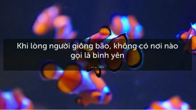 Những câu nói hay về cuộc sống bình yên và an nhiên tự tại