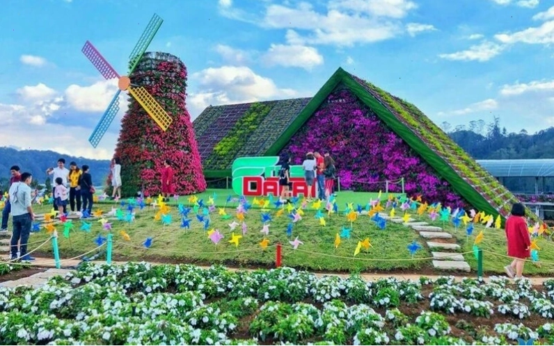 Những câu nói hay về Đà Lạt, thể hiện tình yêu với thành phố ngàn hoa