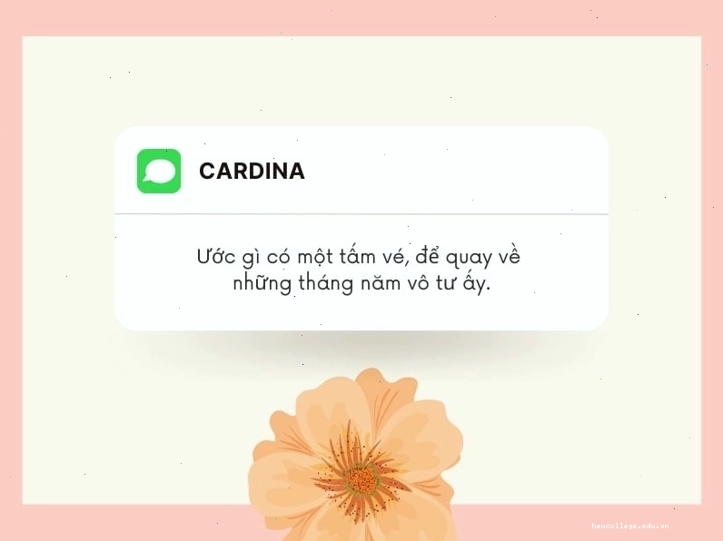 Những câu nói hay về thanh xuân đầy ý nghĩa và cảm xúc