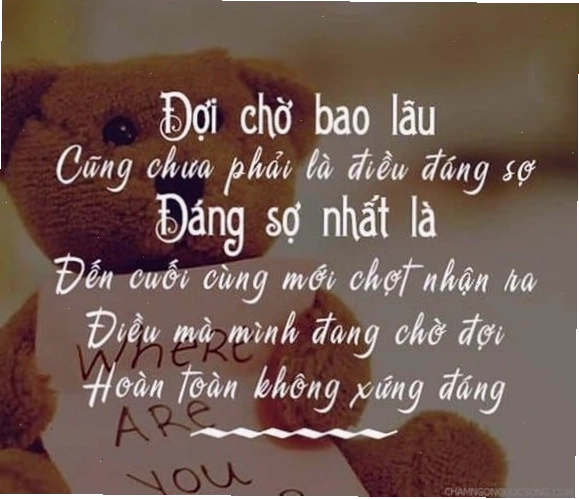 Những câu nói hay về tình yêu và cuộc sống truyền cảm hứng
