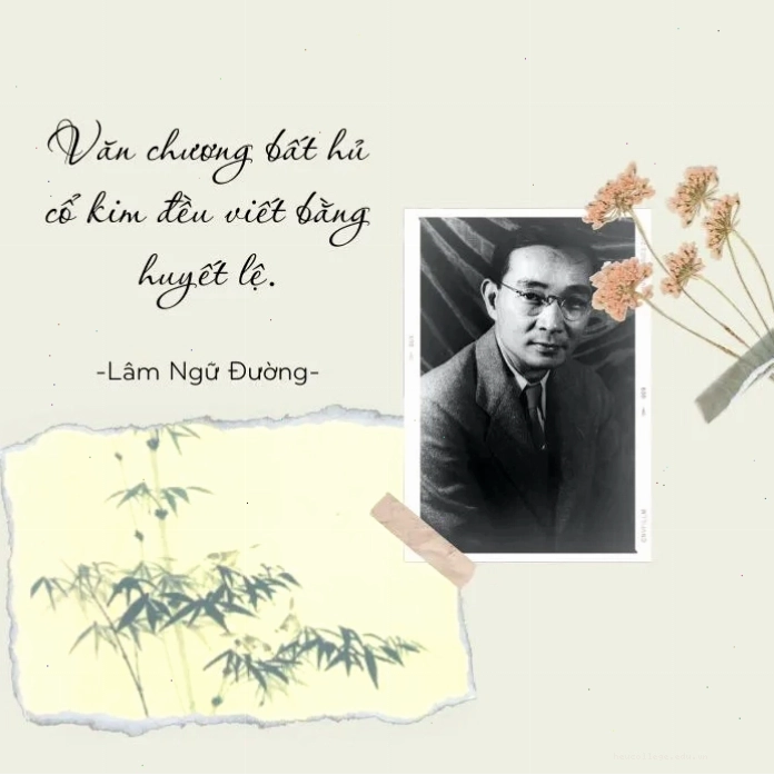 Những câu nói hay về văn học Việt Nam đầy ý nghĩa