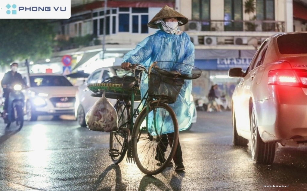Những câu nói hay về ý chí nghị lực và vươn lên trong cuộc sống