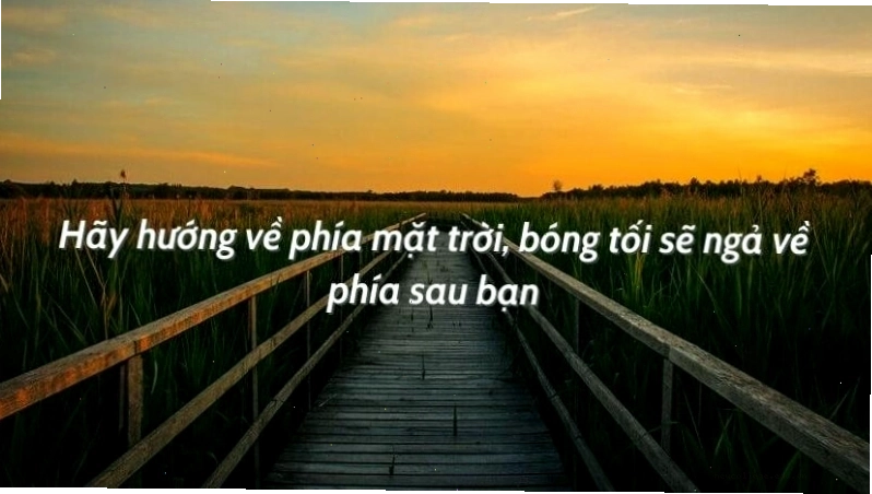 Những câu nói tích cực về cuộc sống truyền cảm hứng và động lực