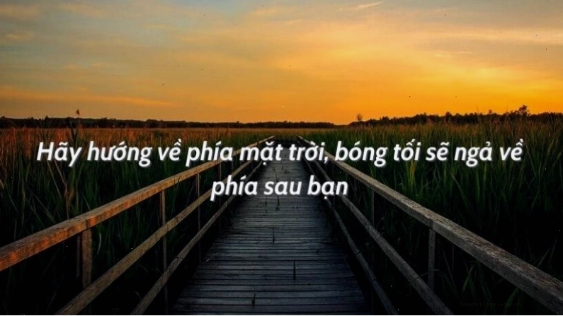Những câu nói tích cực về cuộc sống và bài học làm giàu tâm hồn