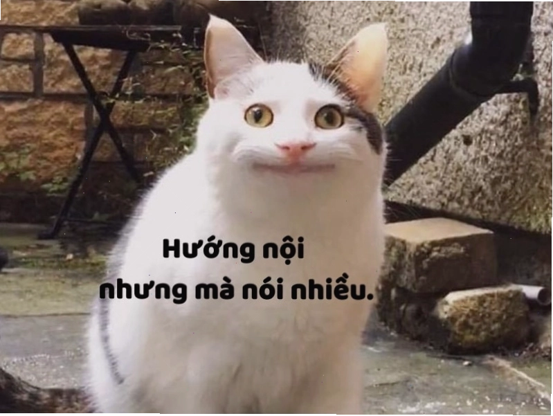 Status ngắn gọn câu like