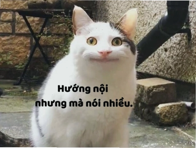 Status ngắn gọn câu like và tương tác
