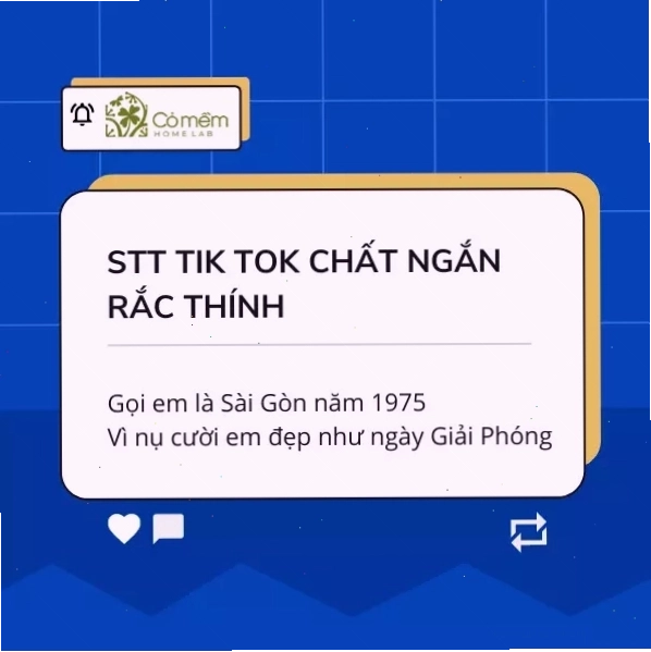 Status thả thính ngắn gọn, hài hước trên Tik Tok