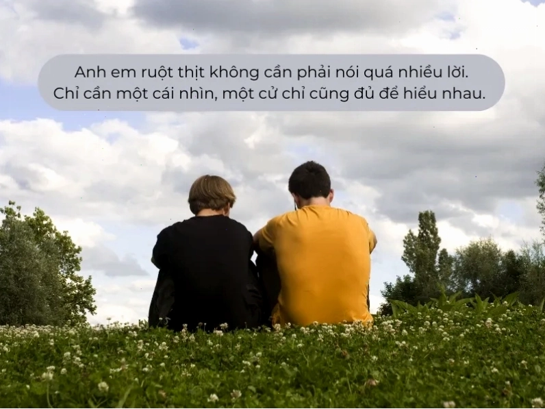 stt hay về tình anh em ruột thịt