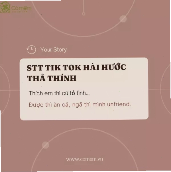 Stt tik tok hài hước, chất, ngầu, vui