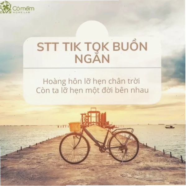 STT TikTok hay ngắn gọn và ý nghĩa