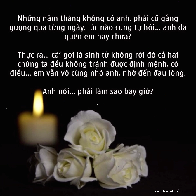 Stt về sự chia ly giữa hai thế giới