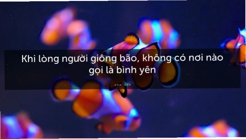 Tìm kiếm sự bình yên trong những điều giản dị của cuộc sống