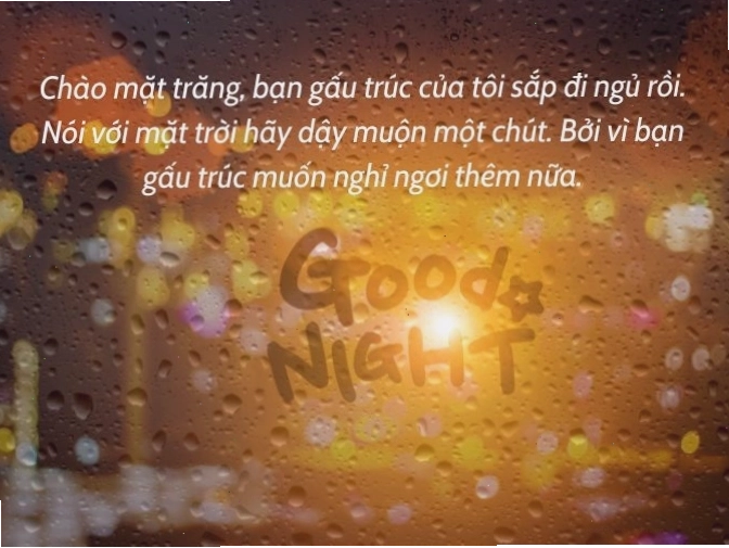 Tin nhắn chúc ngủ ngon bằng tiếng Anh ngọt ngào