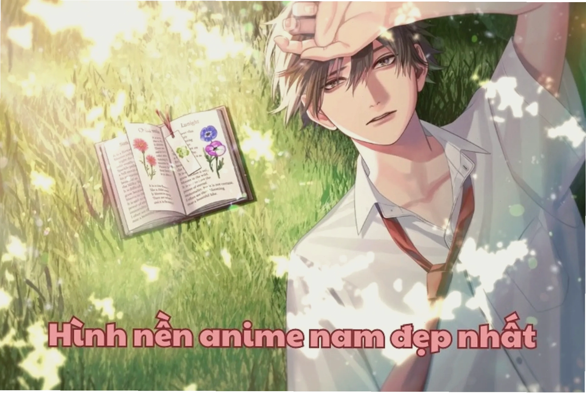Tổng hợp ảnh anime nam đẹp chất lượng cao cho điện thoại và máy tính