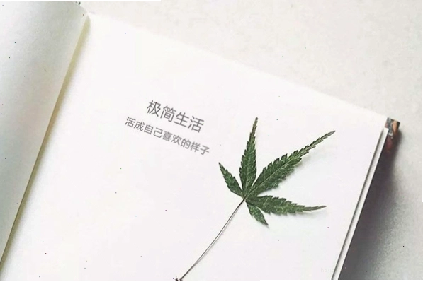 Trích dẫn tiếng Trung ý nghĩa về cuộc sống