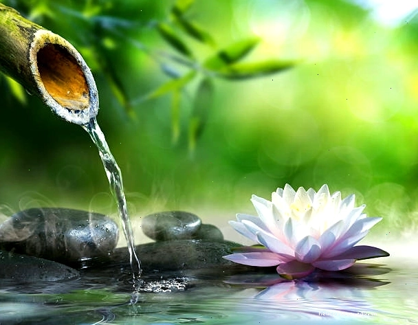 Triết lý sống đơn giản của người Nhật qua hình ảnh văn hóa trà đạo