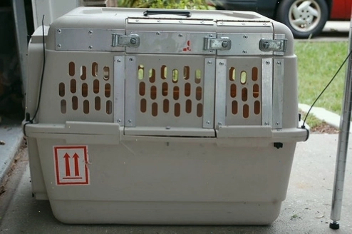 Modified cage for multiple birds