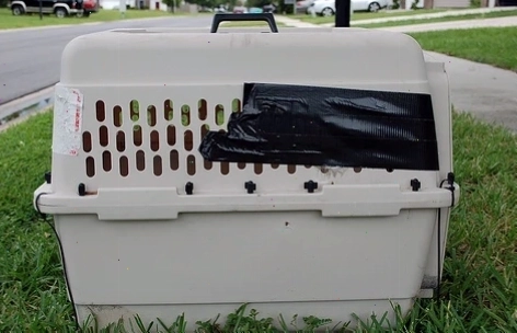 portable bird cage for travel with small parrots for airline travel