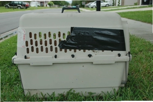 Travel carrier for small birds