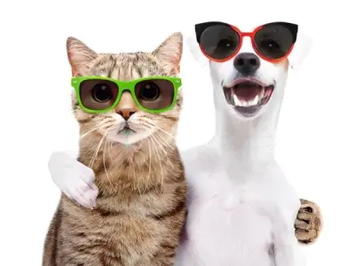 Kho tàng meme hài siêu lầy dành cho hội thích tấu hài