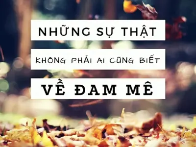 Những caption hay về đam mê truyền cảm hứng sống tích cực