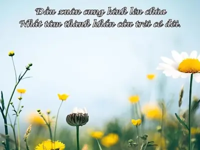 Gợi ý caption về mùa xuân dễ thương dành cho mọi người