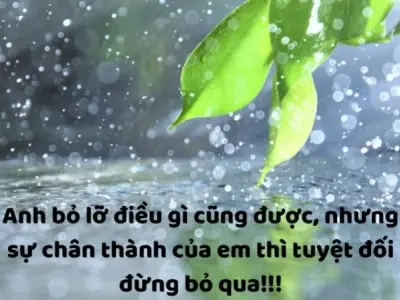 Tổng hợp caption vui về cuộc sống hài hước và ý nghĩa