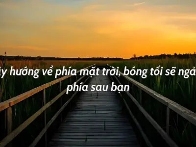 Tổng hợp caption ý nghĩa cuộc sống để tâm hồn thêm an yên