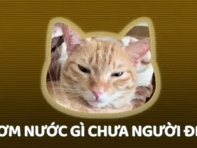 Câu nói bắt trend mạng xã hội siêu hot dân mạng thích