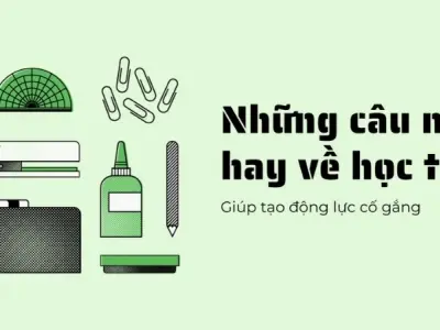 Những câu nói hay về học tập giúp bạn tiến bộ vượt bậc