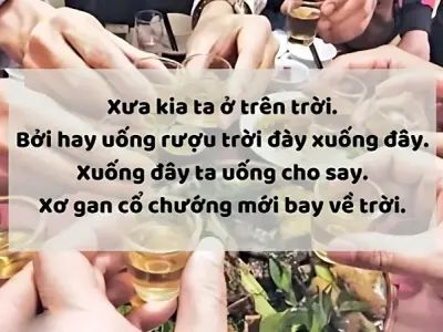 Top câu nói khi đi nhậu khiến không khí buổi nhậu bùng nổ